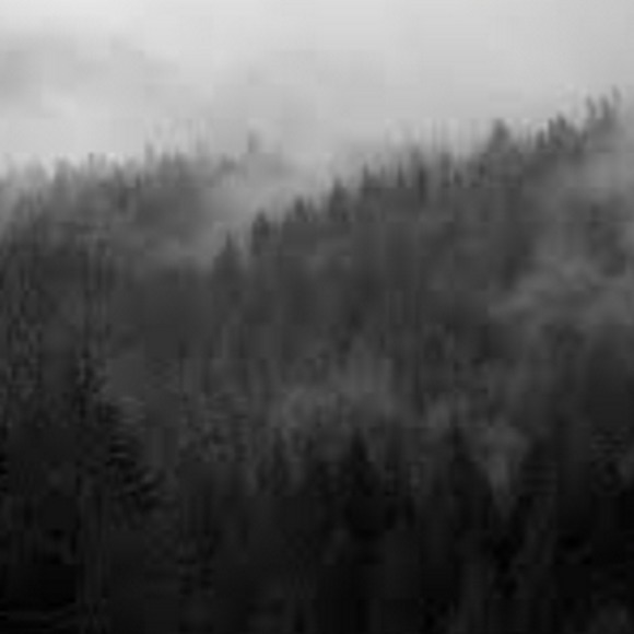 Meet your Posher, Kenneth - Picture 1 of 1